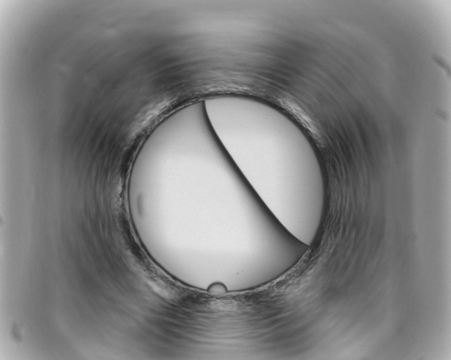 X0000096450490200801241143