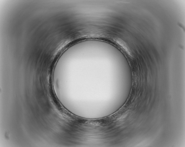 X0000096450491200801241143