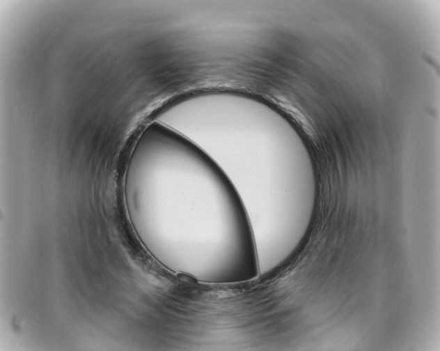 X0000096450492200801241143