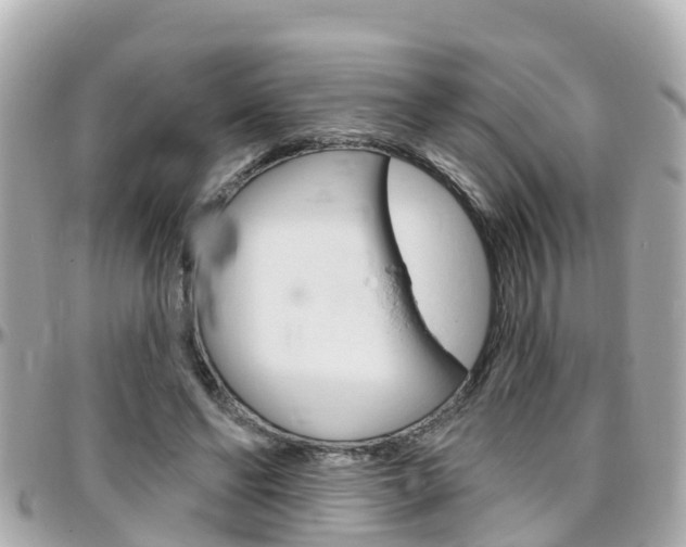 X0000096450494200801241143
