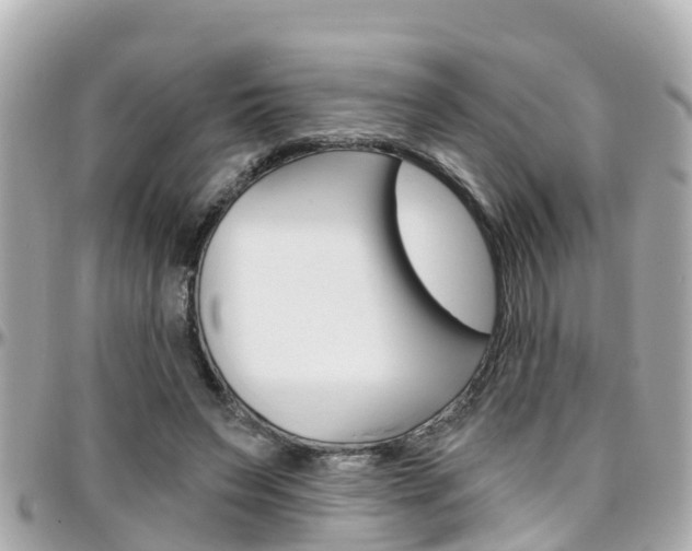 X0000096450495200801241143