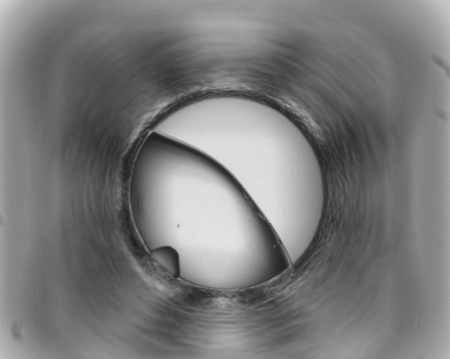 X0000096450496200801241143