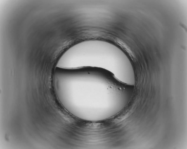 X0000096450497200801241143