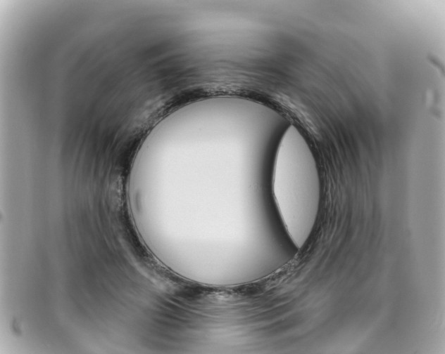 X0000096450498200801241143