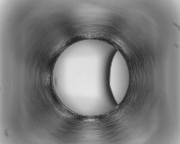 X0000096450499200801241143