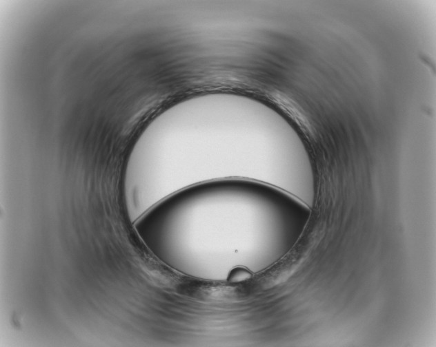 X0000096450501200801241143
