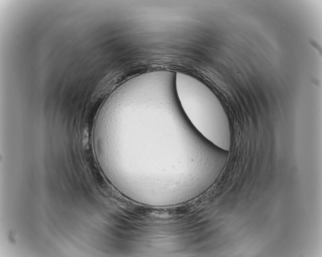 X0000096450502200801241143