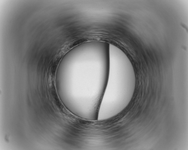 X0000096450504200801241143