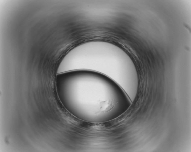 X0000096450505200801241143