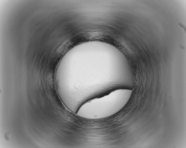 X0000096450506200801241143