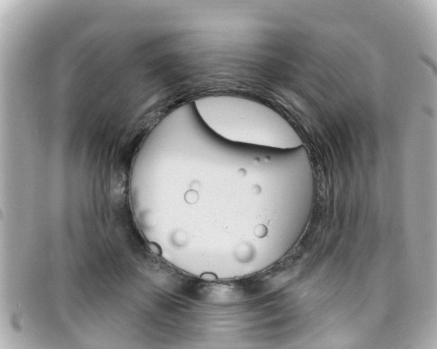 X0000096450507200801241143