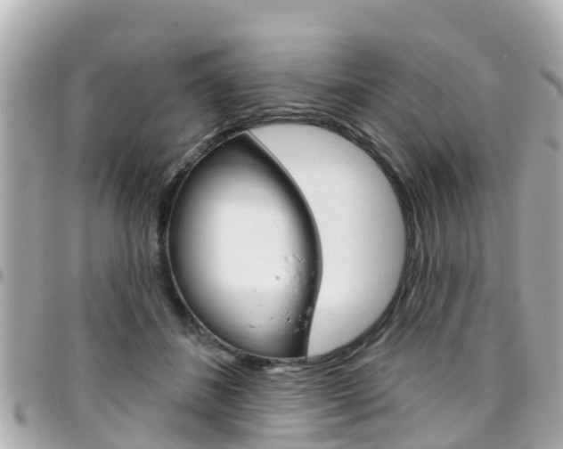 X0000096450508200801241143