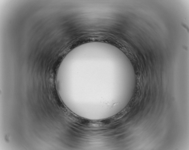 X0000096450510200801241143
