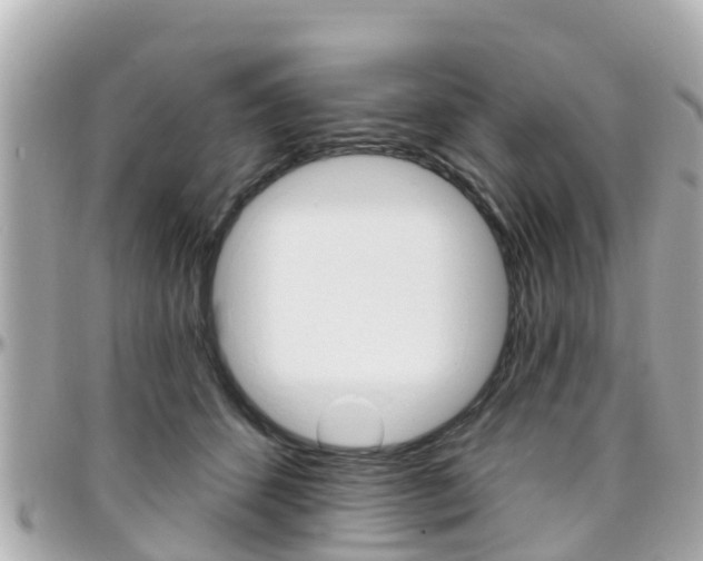 X0000096450512200801241143