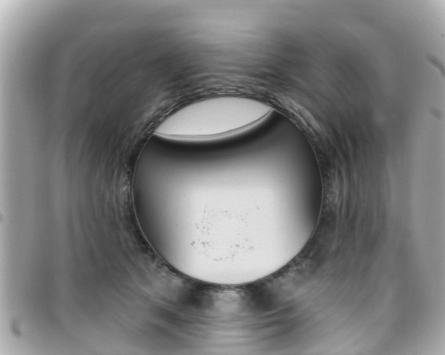 X0000096450513200801241143