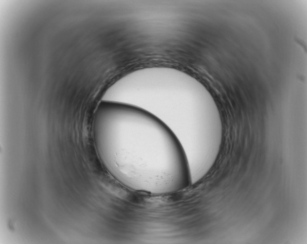 X0000096450516200801241143