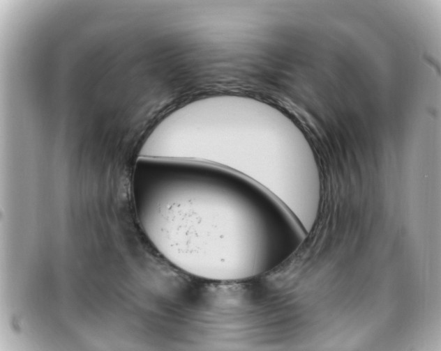 X0000096450517200801241143