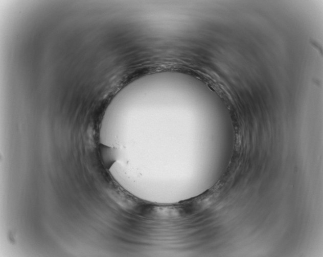 X0000096450520200801241143