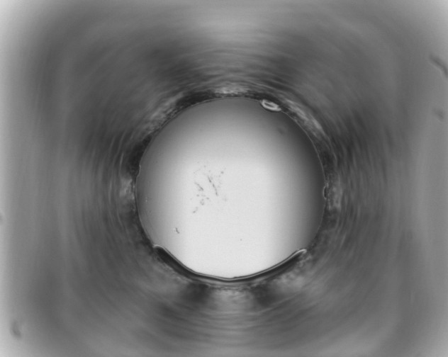 X0000096450521200801241143