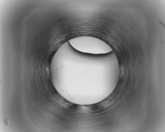X0000096450522200801241143