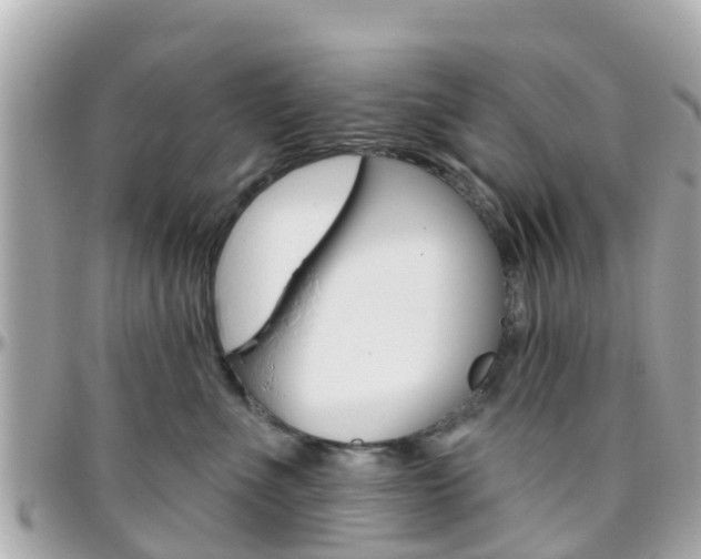 X0000096450523200801241143