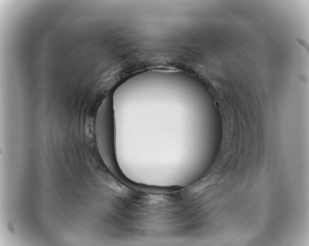 X0000096450528200801241143