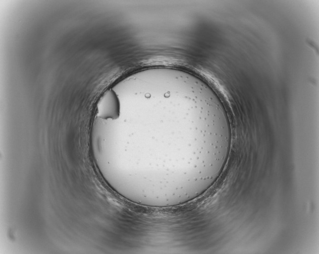 X0000096450529200801241142