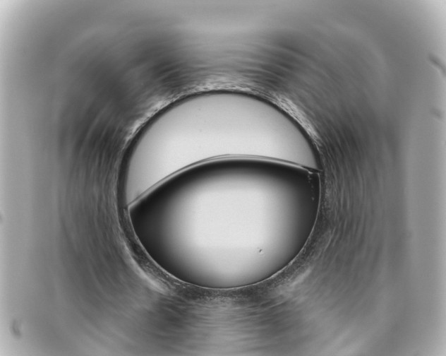 X0000096450530200801241142