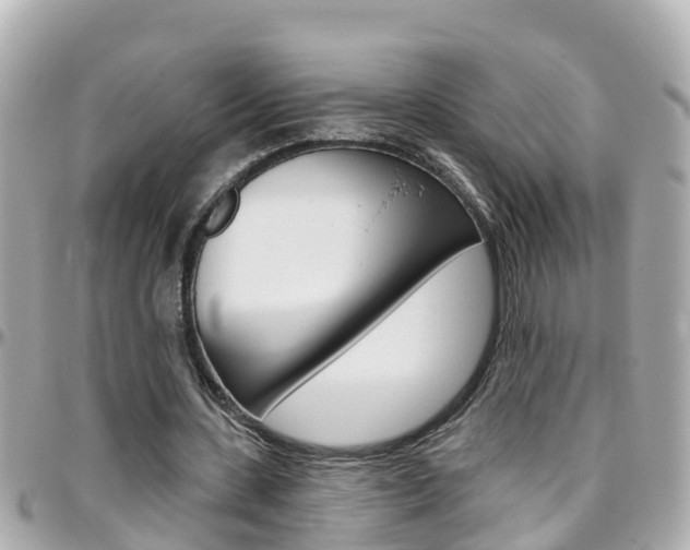 X0000096450531200801241142