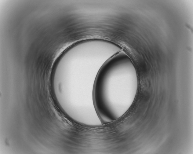 X0000096450532200801241142