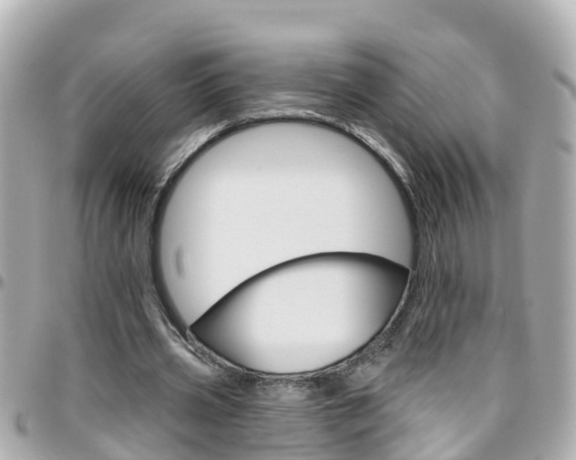 X0000096450533200801241142