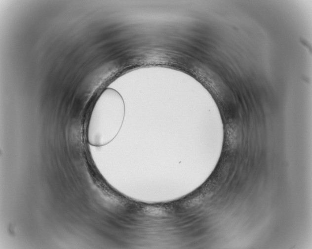 X0000096450534200801241142