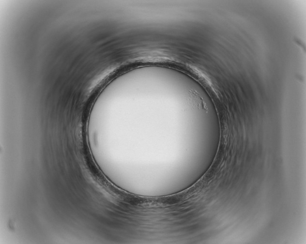 X0000096450535200801241142