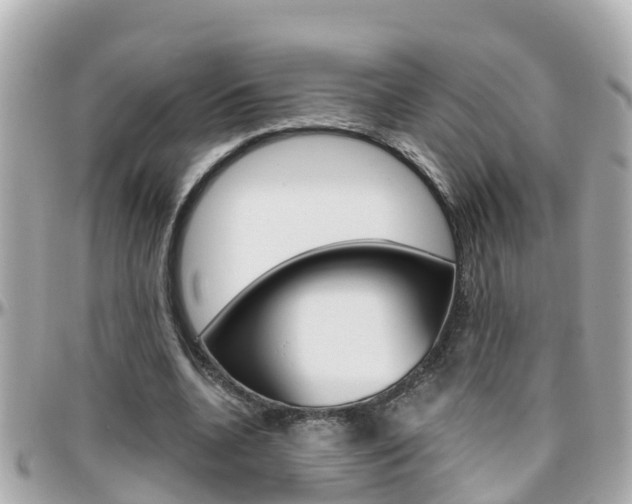 X0000096450536200801241142