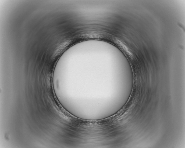 X0000096450537200801241142