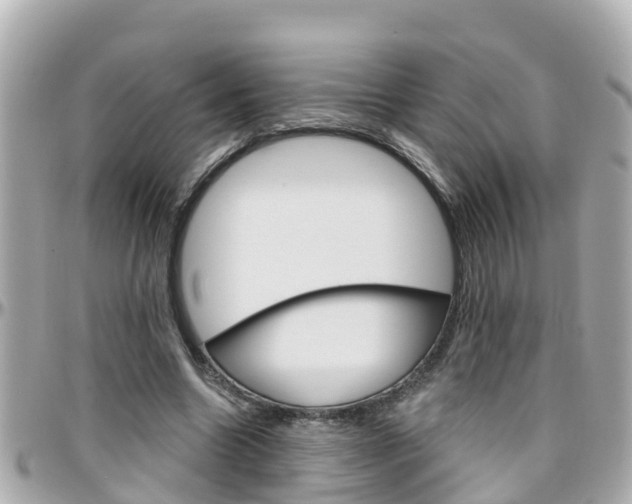 X0000096450538200801241142