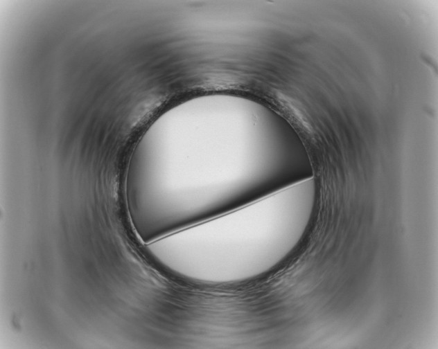 X0000096450539200801241142