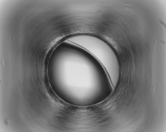 X0000096450540200801241142