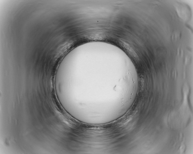 X0000096450541200801241142
