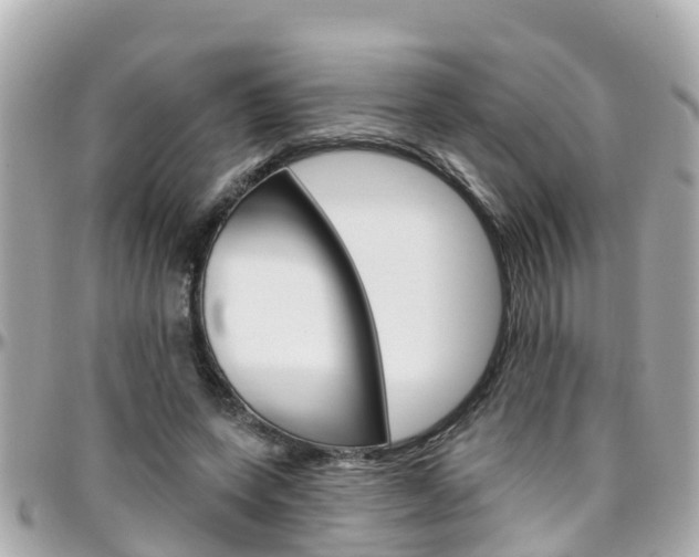 X0000096450543200801241142