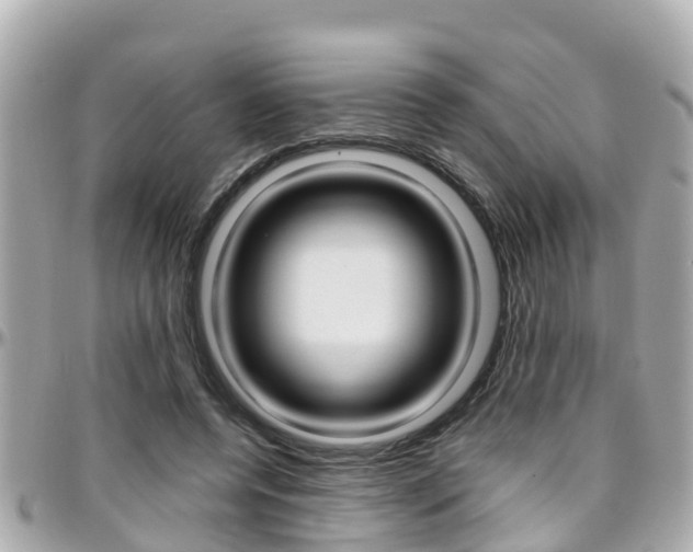 X0000096450544200801241142