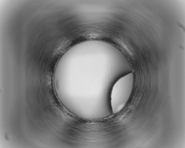 X0000096450545200801241142