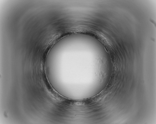 X0000096450546200801241142