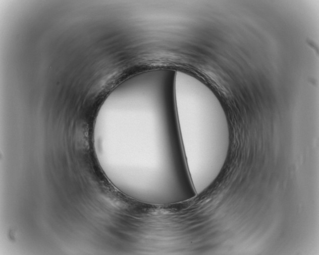 X0000096450547200801241142