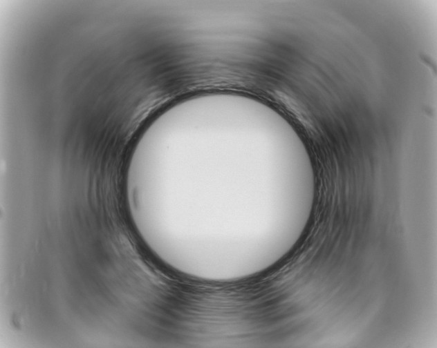 X0000096450548200801241142