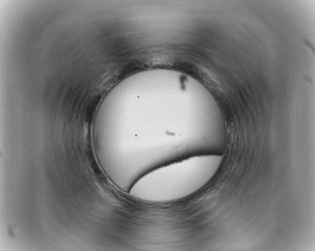 X0000096450550200801241142