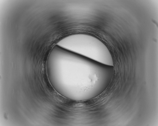 X0000096450551200801241142