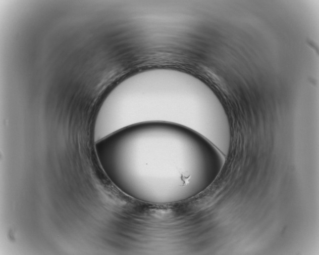 X0000096450552200801241142