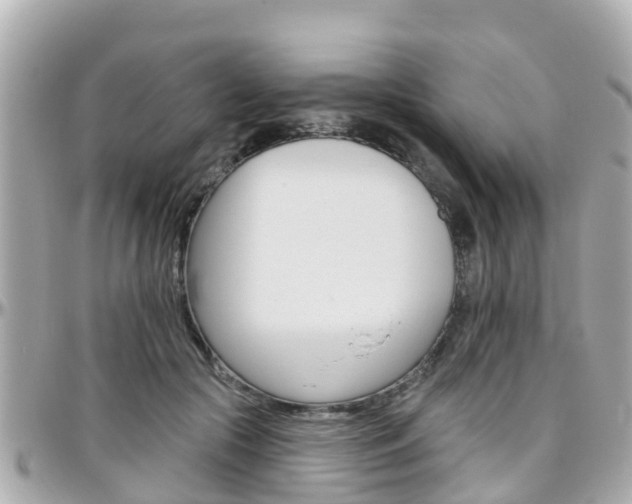 X0000096450553200801241142