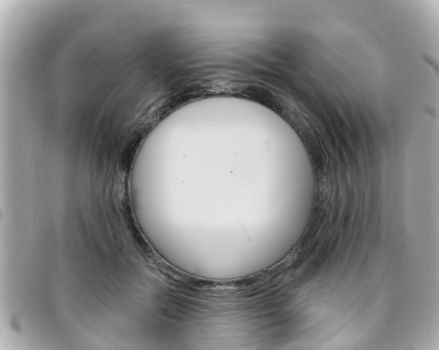X0000096450554200801241142